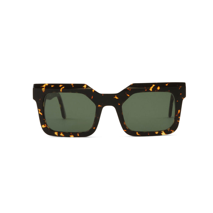 Spot Tortoise - G15 Lens