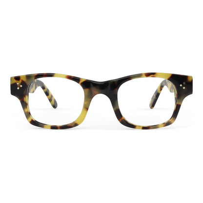Tokyo Tortoise