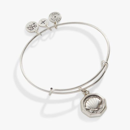 Antiqued Silver