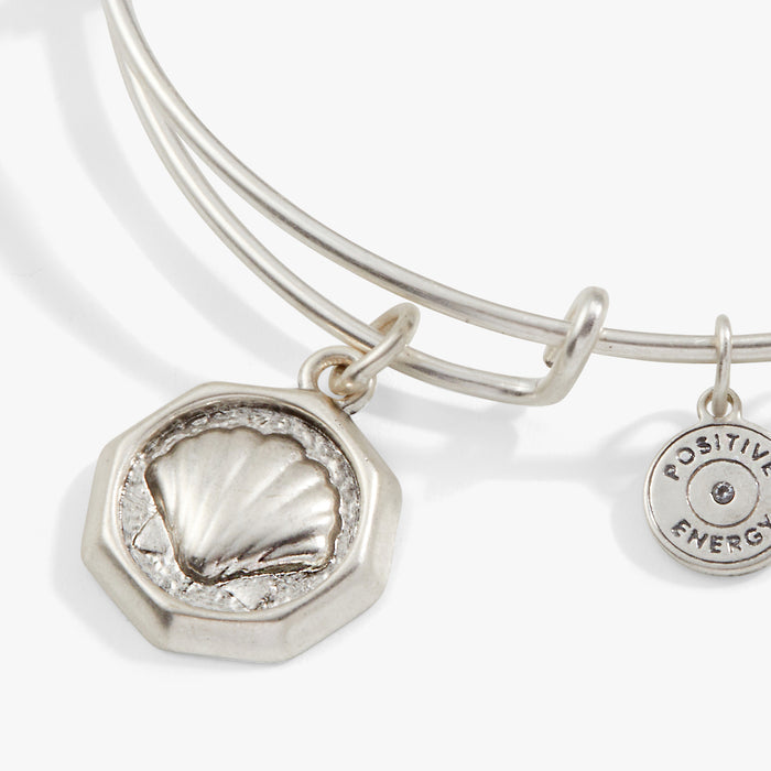 Antiqued Silver