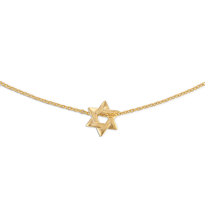 Small Star of David Necklace - 14k vermeil 11mm Star of David on gold filled rolo chain