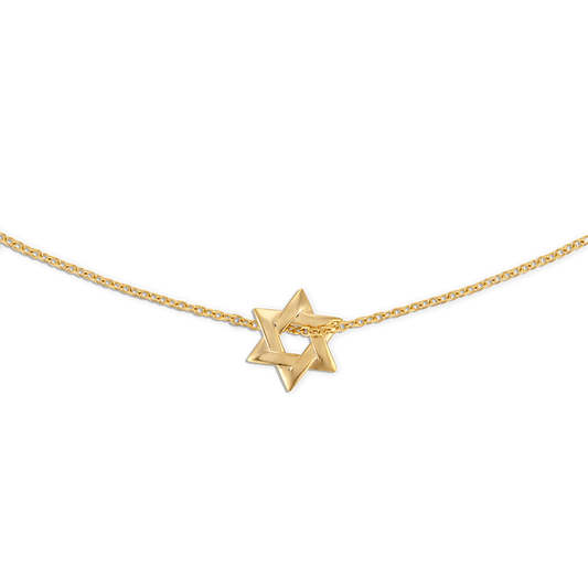 Small Star of David Necklace - 14k vermeil 11mm Star of David on gold filled rolo chain