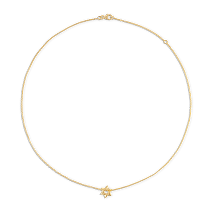Small Star of David Necklace