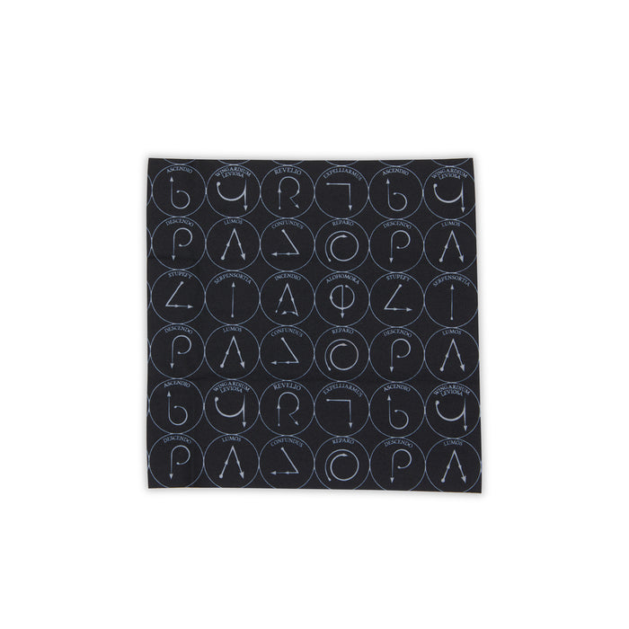 harry potter x diff eyewear - cleaning cloth back
