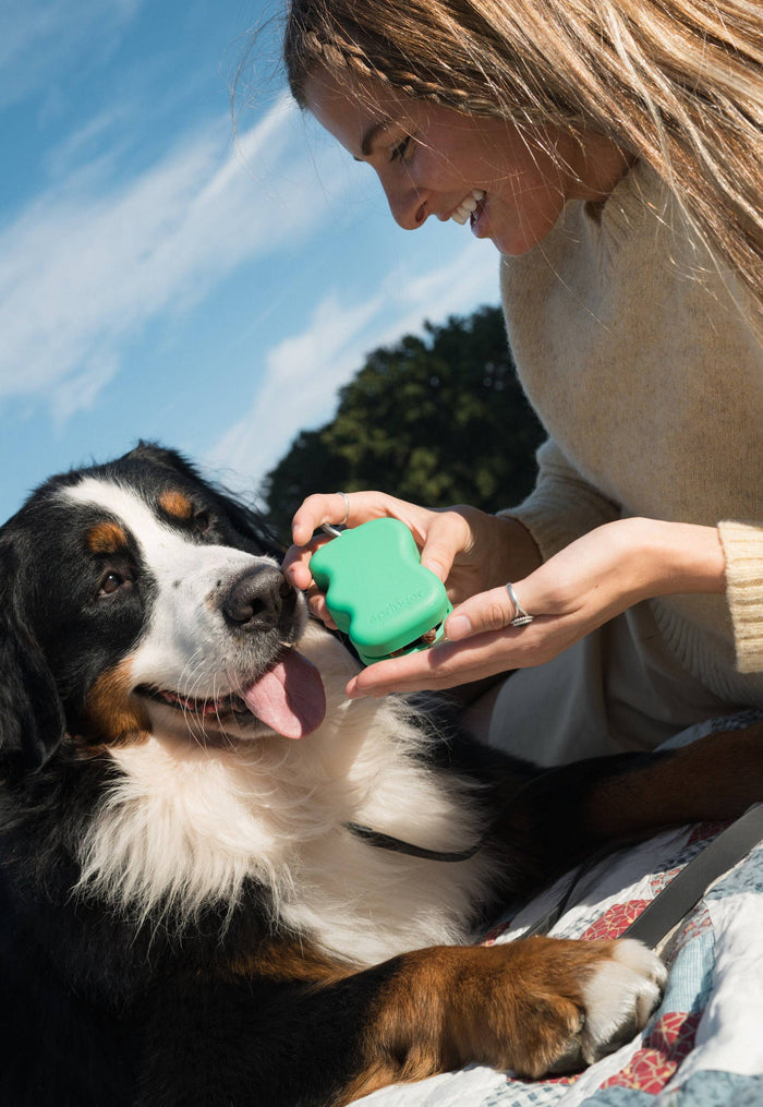 Springer - Silicone Dog Treat Dispenser Pouch | MIXED (Case of 12) - Dog.Dog.Cat.