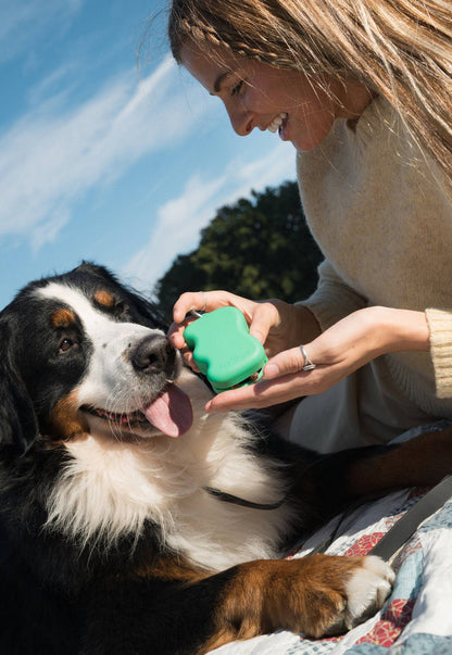 Springer - Silicone Dog Treat Dispenser Pouch | MIXED (Case of 12) - Dog.Dog.Cat.