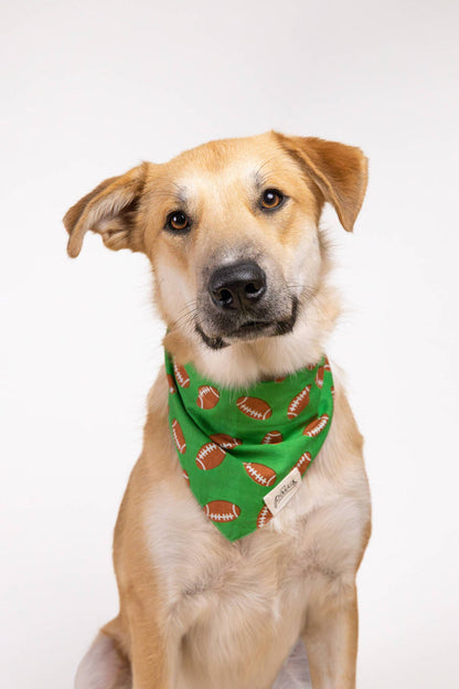 The Paws - Defender Football Dog Bandana - Dog.Dog.Cat.