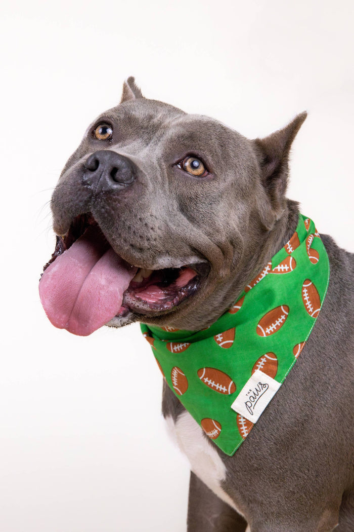 The Paws - Defender Football Dog Bandana - Dog.Dog.Cat.