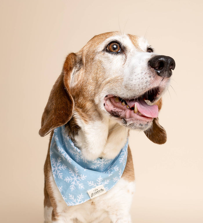 The Paws - Frozen Winter Dog Bandana - Dog.Dog.Cat.