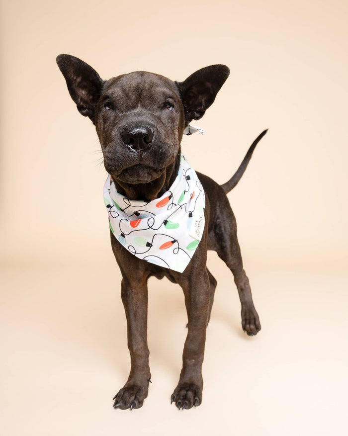 The Paws - Twinkle Christmas Dog Bandana - Dog.Dog.Cat.