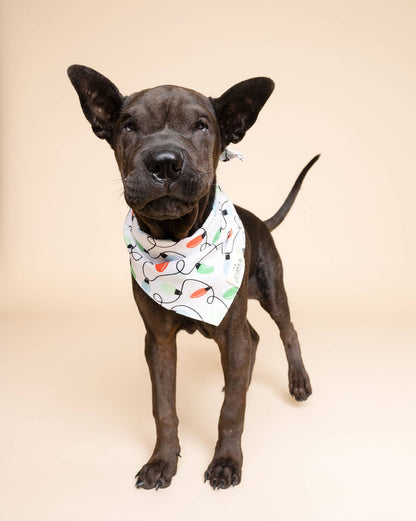 The Paws - Twinkle Christmas Dog Bandana - Dog.Dog.Cat.