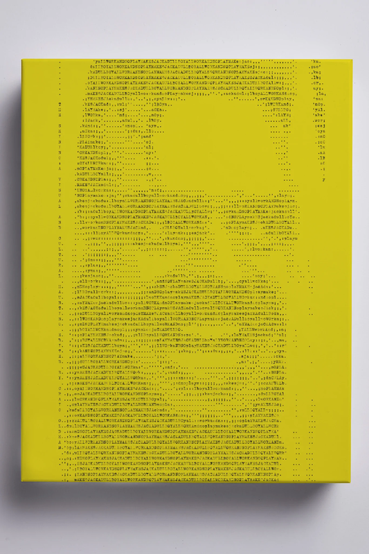 The Shining: A Visual and Cultural Haunting