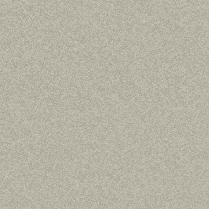 Touch Tone - Chaff - 4117 - 14 - Half Yard