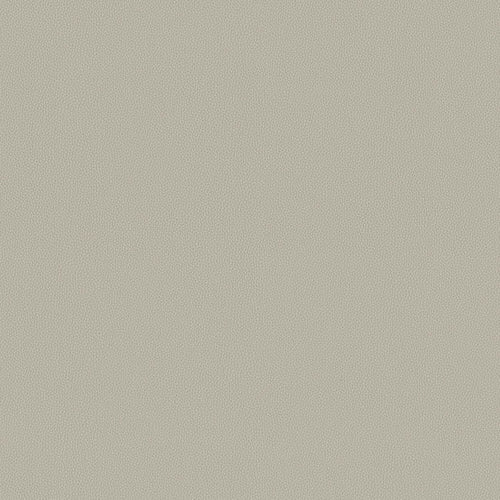 Touch Tone - Chaff - 4117 - 14 - Half Yard