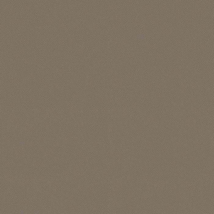 Touch Tone - Fallow - 4117 - 12 - Half Yard