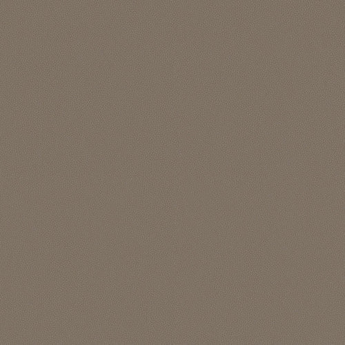 Touch Tone - Fallow - 4117 - 12 - Half Yard
