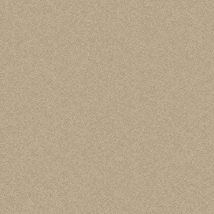 Touch Tone - Sycamore - 4117 - 07 - Half Yard