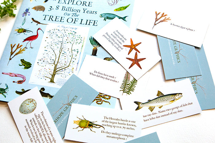 Tree of Life Poster (History of Existing Life)