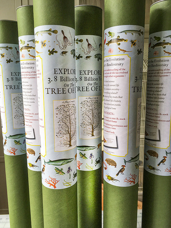Tree of Life Poster (History of Existing Life)