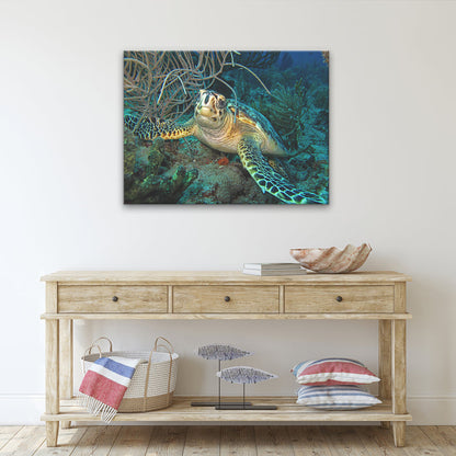 'Turtle' Wrapped Canvas Wall Art