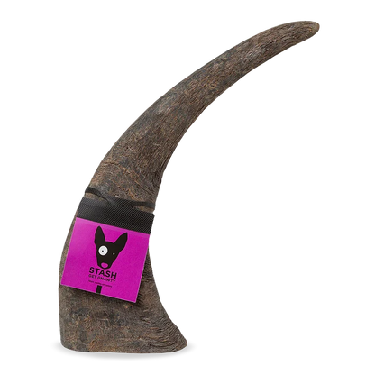 Longhorn