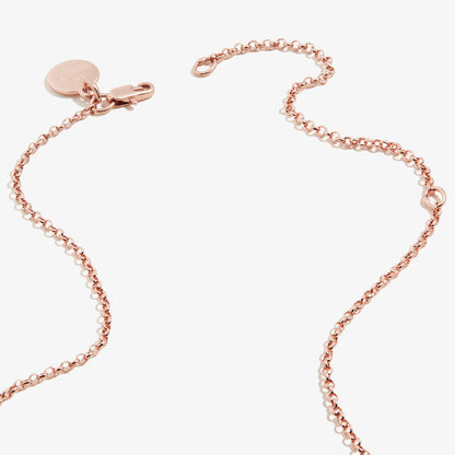 Shiny Rose Gold