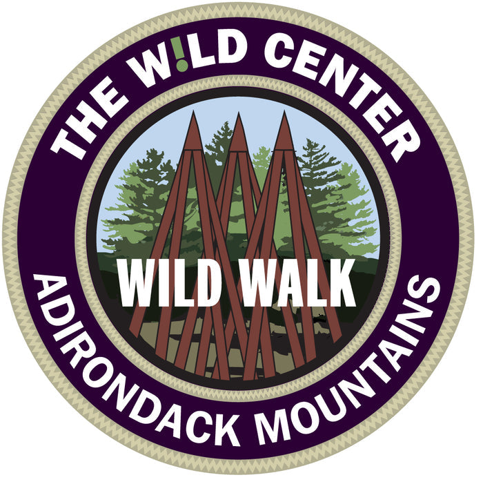 Wild Walk Patches