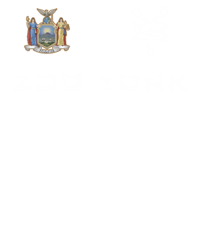 Zoo York Excelsior Classic Patch Logo T-Shirt